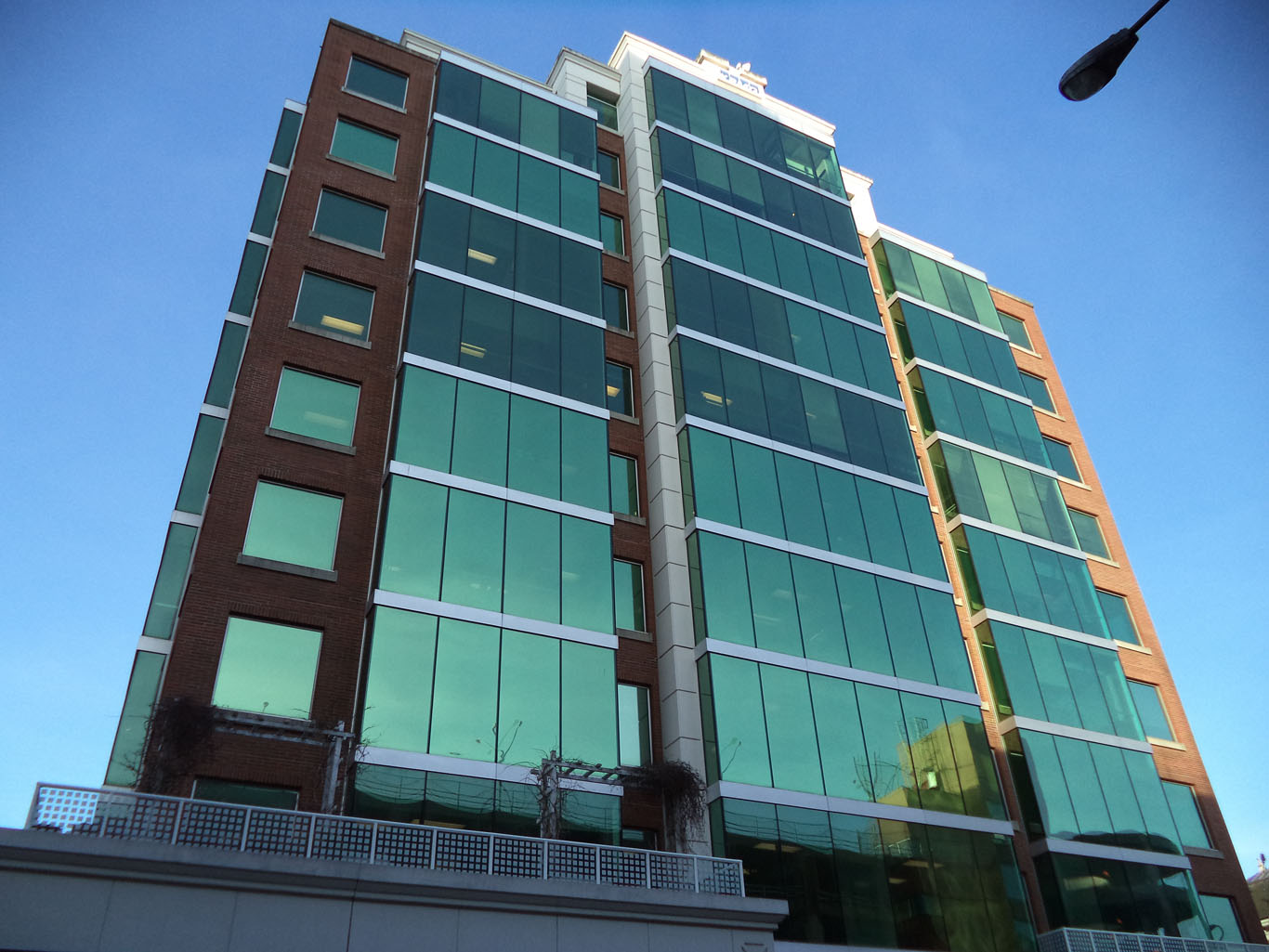 Global Public Affairs